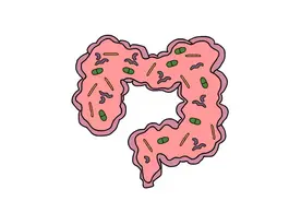 关于“益生菌”，你了解多少？图片