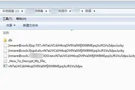 国内首个比特币勒索病毒制作者落网图片