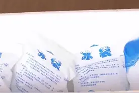 厂家不回收焚烧有污染，网购生鲜冰袋咋处理？视频封面
