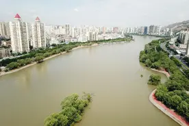 大河奔流擘画绿色发展新画卷——黄河流域生态保护与高质量发展调研记图片