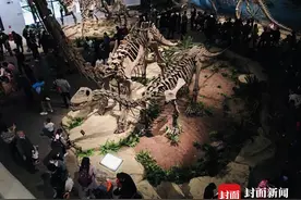 魅力盐都 安逸灯城｜这个黄金周“吸金”超6.2亿元 四川自贡接待游客113.92万人次图片