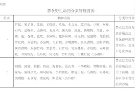 果子狸等45种野生动物年底前停止养殖，多省份已制定补偿方案图片