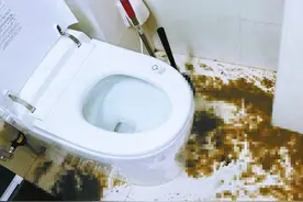 朝阳金星小区住户污水倒灌家遭殃，物业：责任应由楼上的住户承担图片