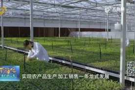 诸城：产业筑基 攻坚提升乡村振兴“诸城模式”图片