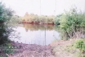 男子离奇失踪，半年后浮出水面！夫妇埋藏惊天秘密逃亡，案发现场难道还有他人？图片