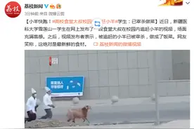 小羊快跑！高校食堂大叔校园内追赶小羊 学生：已宰杀做菜图片