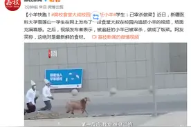 小羊快跑！高校食堂大叔校园内追赶小羊 学生：已宰杀做菜图片