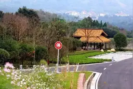 2020年中国美丽休闲乡村：绍兴市柯桥区漓渚镇棠棣村图片