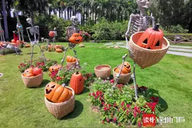 深圳欢乐谷双节客流赶超去年同期 10月潮玩节火热接力图片