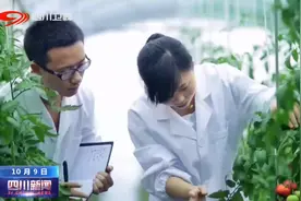 四川新闻｜范围扩大 今年我省高职专项扩招3到4万人图片