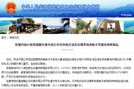 塞内加尔两名中国公民欲带抹香鲸牙出境被捕 中使馆：勿铤而走险图片