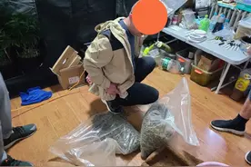 无语！贩毒夫妻竟然把家变成了“热带雨林”！民警也惊呆了图片