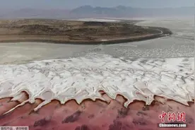 海外战“疫”：上山下海品酒逗鸟，疫情期间在美华人这么玩图片