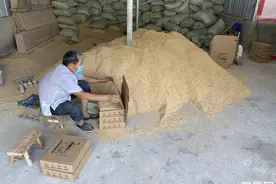 “鸡蛋”上线，“就业”下乡图片
