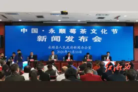 首届“中国永顺莓茶文化节”10月11日在芙蓉镇举行图片