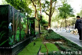 漂亮！一画一景融入街头景观，200余个手绘配电箱柜陆续亮相江岸街头图片