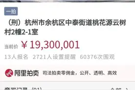 2020万！杭州桃花源一法拍别墅刚成交！房主涉黑，曾号称“四季青一霸”图片