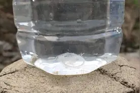 44秒丨济南一景区水库发现近千只桃花水母 被誉为“水中大熊猫”视频封面