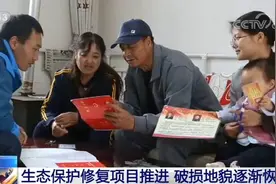 宁夏：生态保护修复项目推进 破损地貌逐渐恢复图片