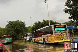 特大城市交通治理的深圳样板图片
