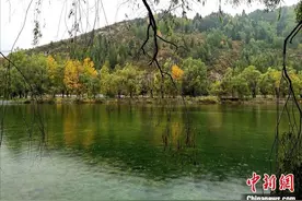 山西：重新找回绿水青山底色图片