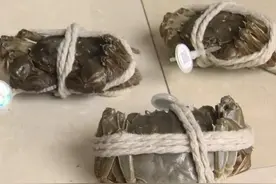 直播间268元买八只阳澄湖大闸蟹，防伪标是前年的图片