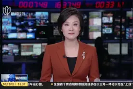 乐高项目落户金山枫泾  千年古镇启动再更新计划视频封面