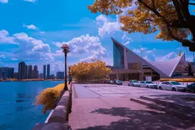 全场统一票价，广州爵士音乐节即将开售！图片