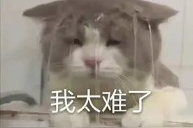现在的女生真的太敏感了图片