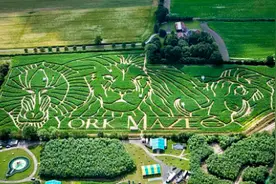 前方高能！新安江畔出现巨型粉色花海迷宫，设计了八卦八门，你多久能走出来？图片