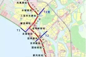 票价3元！三亚有轨电车示范线载客运营图片