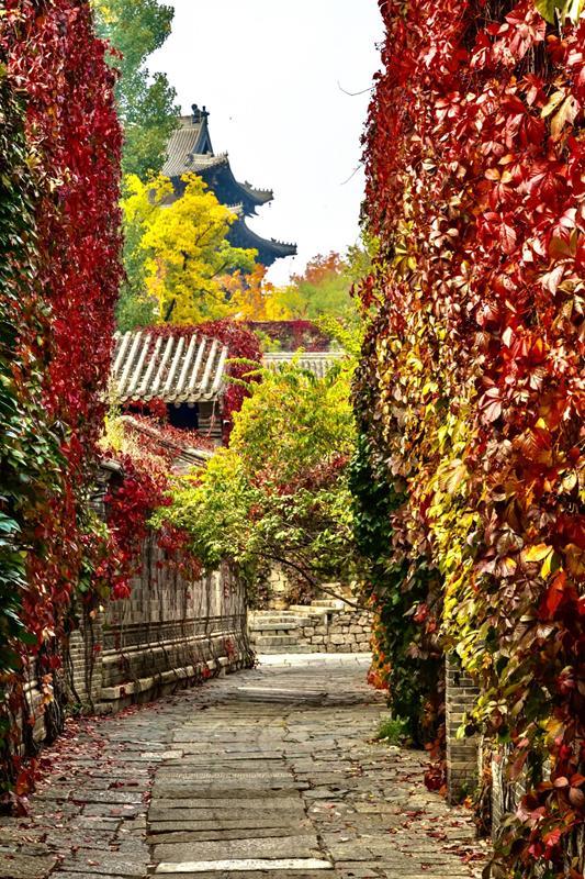 寻秋北京：10条最值得打卡的北京赏红叶线路