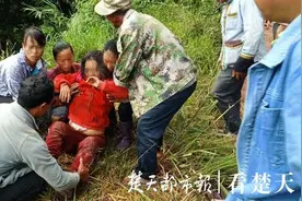 “人象冲突”愈演愈烈：云南一家三口采茶遇野象，妻子遭袭受重伤图片