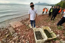 抚仙湖放生万条泥鳅？罚款2000图片