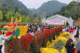 洛阳进入超美时刻！花已开成海，最全赏花指南请拿好！！！图片