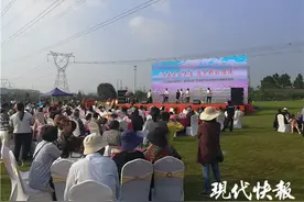 南京乡村游又多了一个好吃好玩的地方，溧水阡陌花开景区开园图片