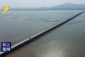 海陵岛跨海大桥美景如画图片