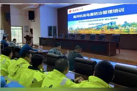 如何防飞鸟撞飞机？四川南充机场邀请动物学博士支招图片