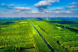 苏北唯一列为长三角中心城市的盐城：深融长三角，接轨大上海图片