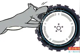 两狗撕咬豪车40余分钟 狗主人被判赔11万余元图片