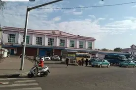 12人家庭聚餐8人死亡！这些食物有毒，严重可能危及生命图片