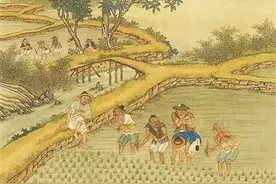 节约粮食，古人何为？图片