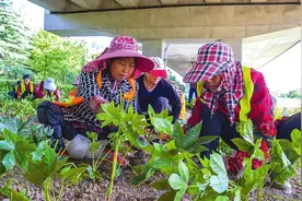 新建高架披上新装图片