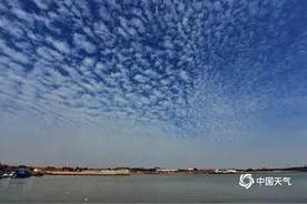 天空有朵“鱼做的云”图片