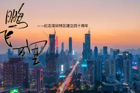 鹏飞万里——纪念深圳特区建立四十周年图片