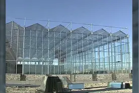 青海油田“十三五”援青脱贫攻坚结硕果视频封面