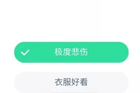 成语司马青衫是形容什么意思？蚂蚁庄园10月13日答案图片