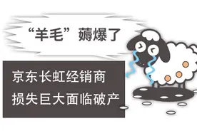 “羊毛”薅爆了：京东长虹经销商损失巨大面临破产图片