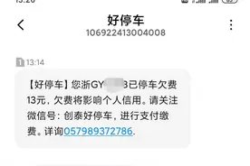 杭州姑娘接到停车费催缴信息，懵了：我连驾照都没有，车也没有呀图片