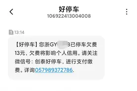 杭州姑娘接到停车费催缴信息，懵了：我连驾照都没有，车也没有呀图片